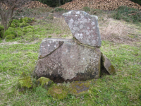 Image of Sö 303