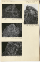 Kolsundet. Runsignum Sö 197