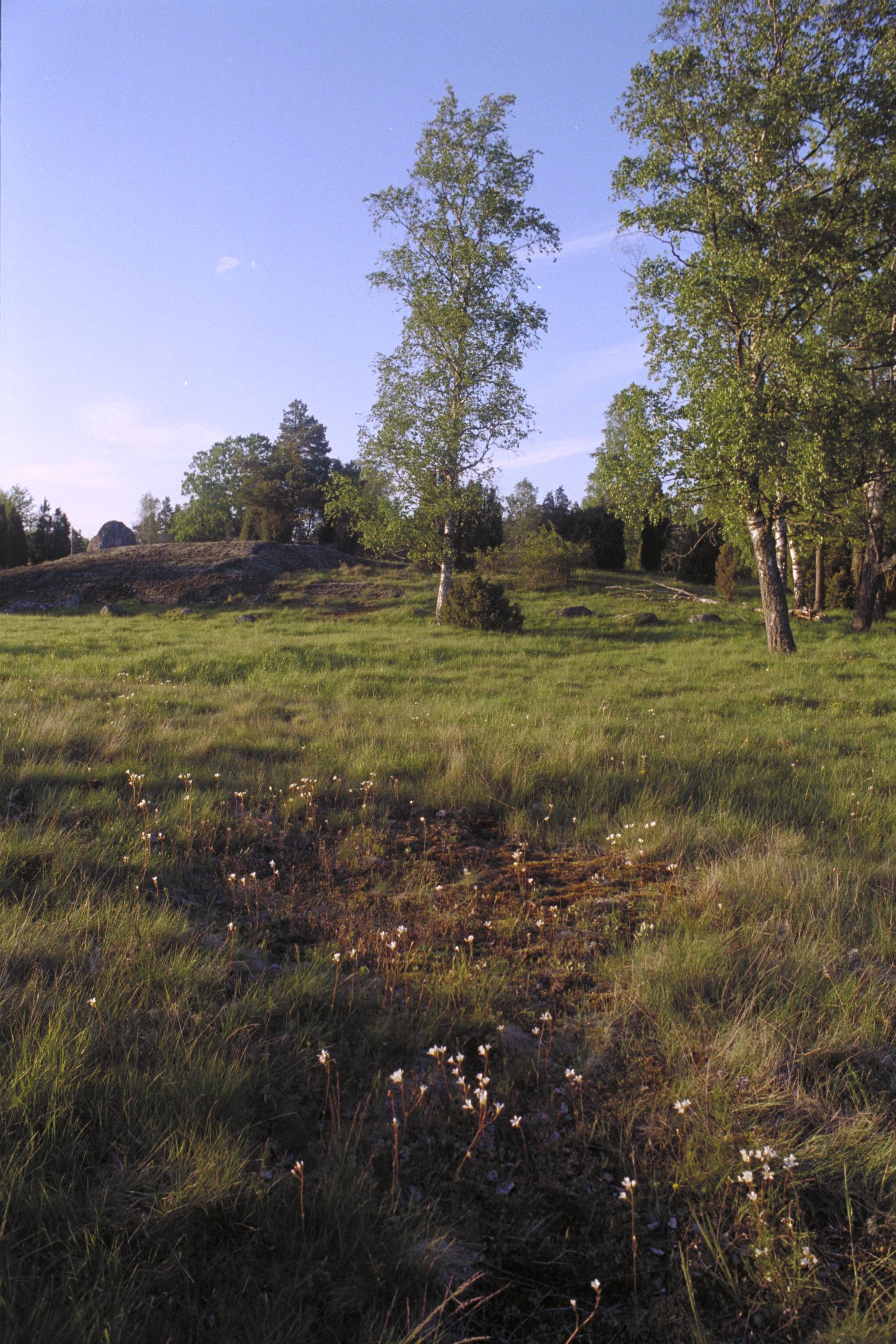 Bengt A Lundberg, Hemsta hagar