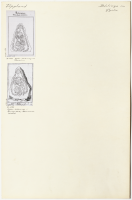 Gysta. U 1083, U 1084.