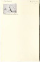 Skamby. Runsignum Ög 27-28?