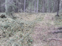 Fångstgrop L1948:9544