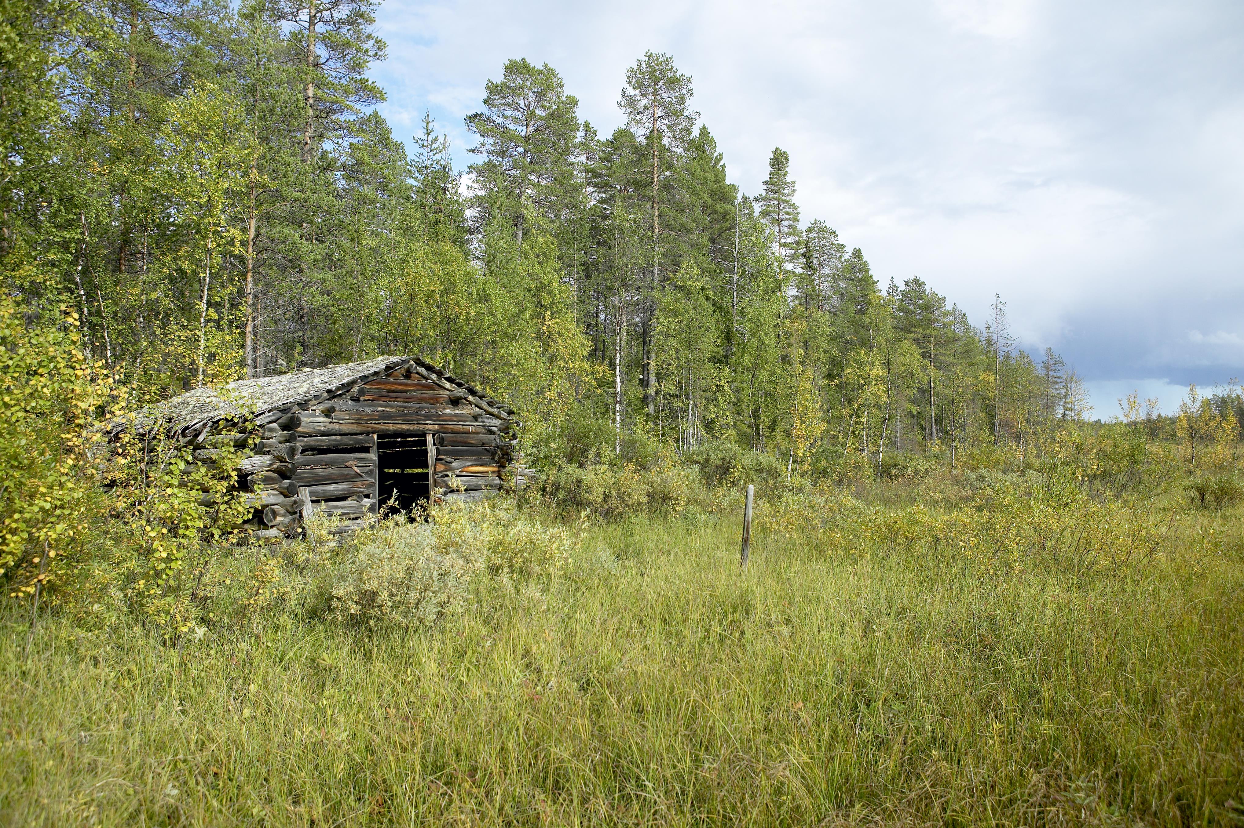 Bengt A Lundberg, Kaltisbäcken