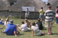 Image of Öl ACTARC37;211