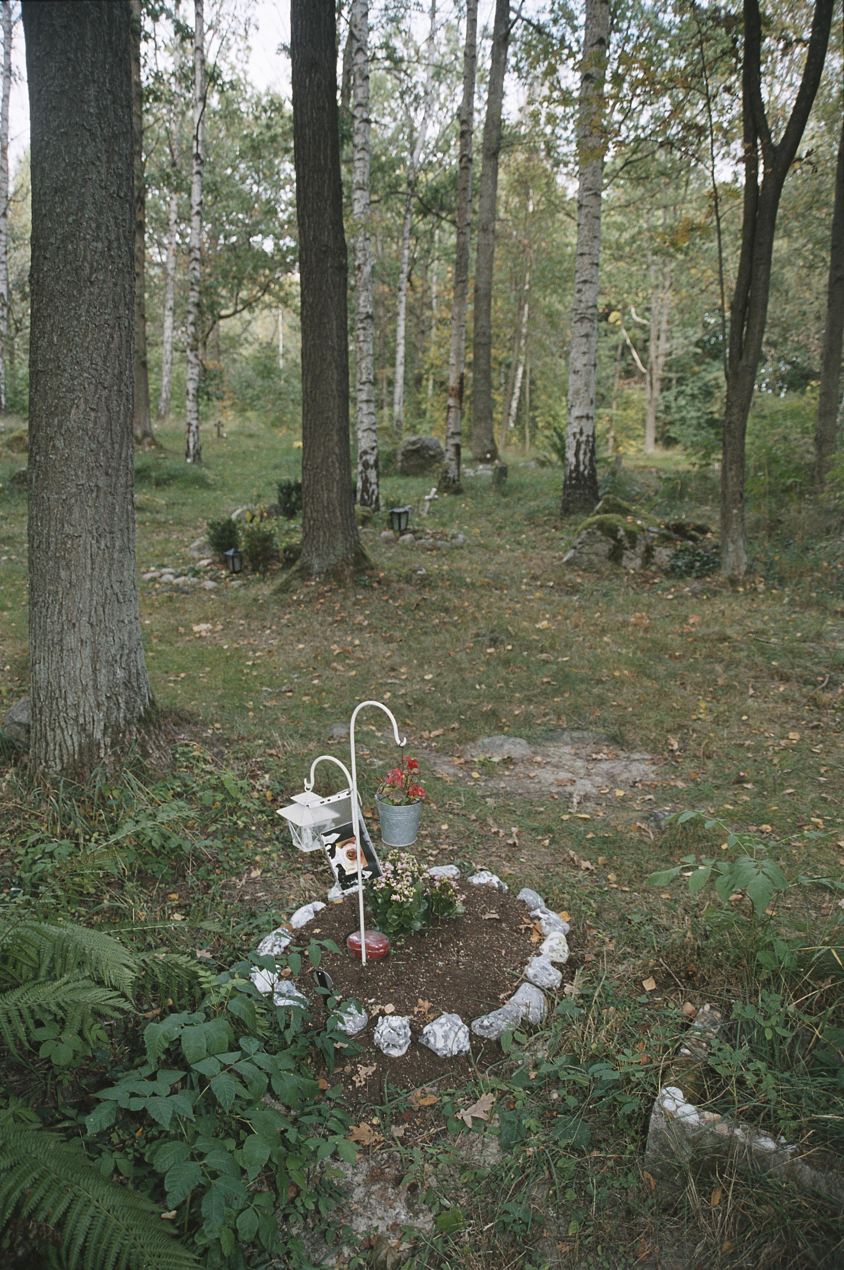 Bengt A Lundberg, Djurkyrkogården vid Kaknäs