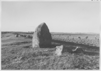 Järnåldersgravfält mellan Södra Sandby och Sandbyborg