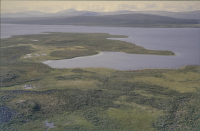 Kiepanjaure - Giehpangielas