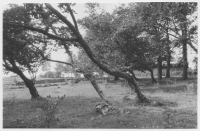 Torpa socken, betesmarker