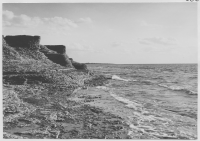 Byerum, kambrosilurens möte med havet