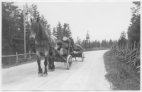 Vägen Slätthög-Moheda