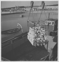 Gotländsk kalktransport