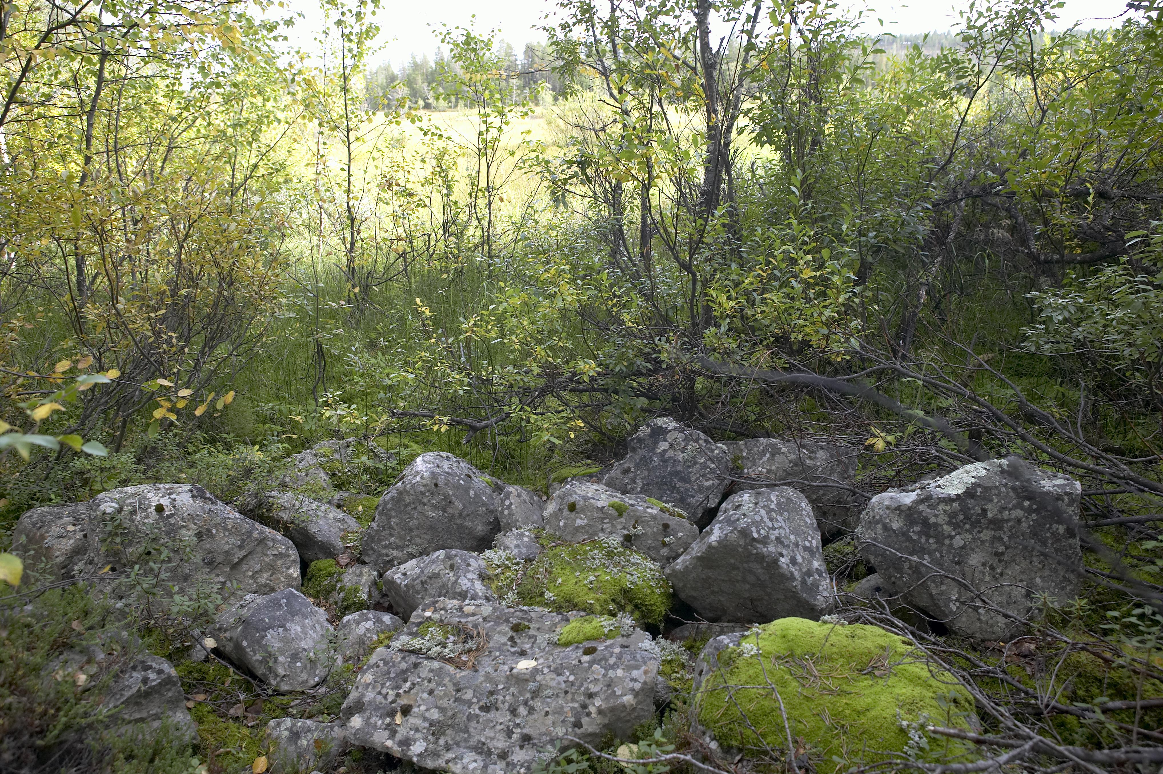 Bengt A Lundberg, Kaltisbäcken