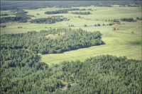 Husby-Långhundra 156:1
