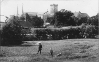 Skara domkyrka (Sankta Maria kyrka)