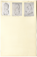 Vickeby. U 477, U 476.