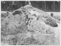 Järnvägen Kropptjärn - Fågelsjö