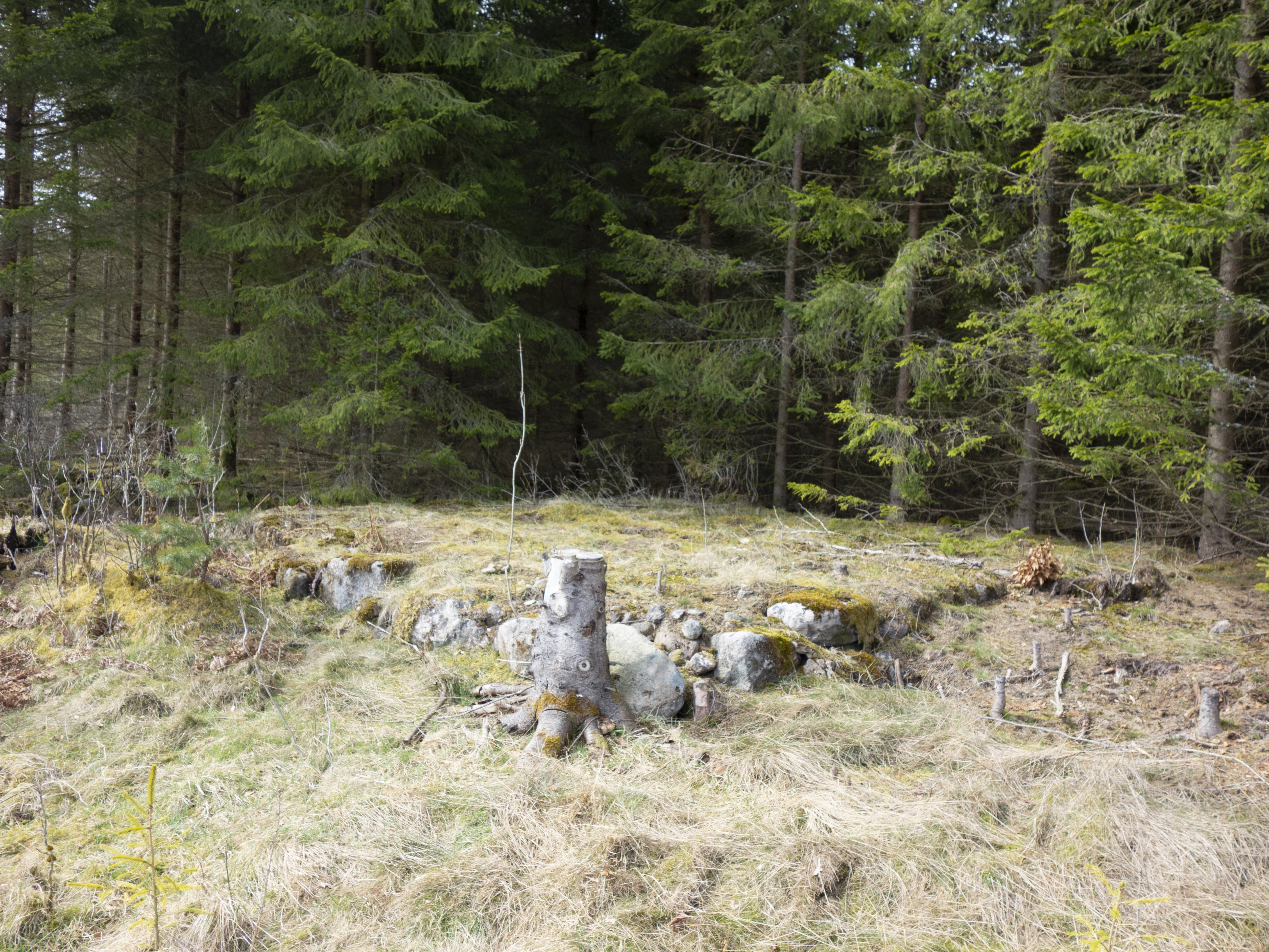 Leif Gren, Femsjö 71:1
