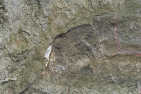 Image of Sö Sb1965;19