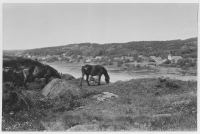 Kungälv, vy mot Göta älv