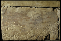 Image of Or Barnes16