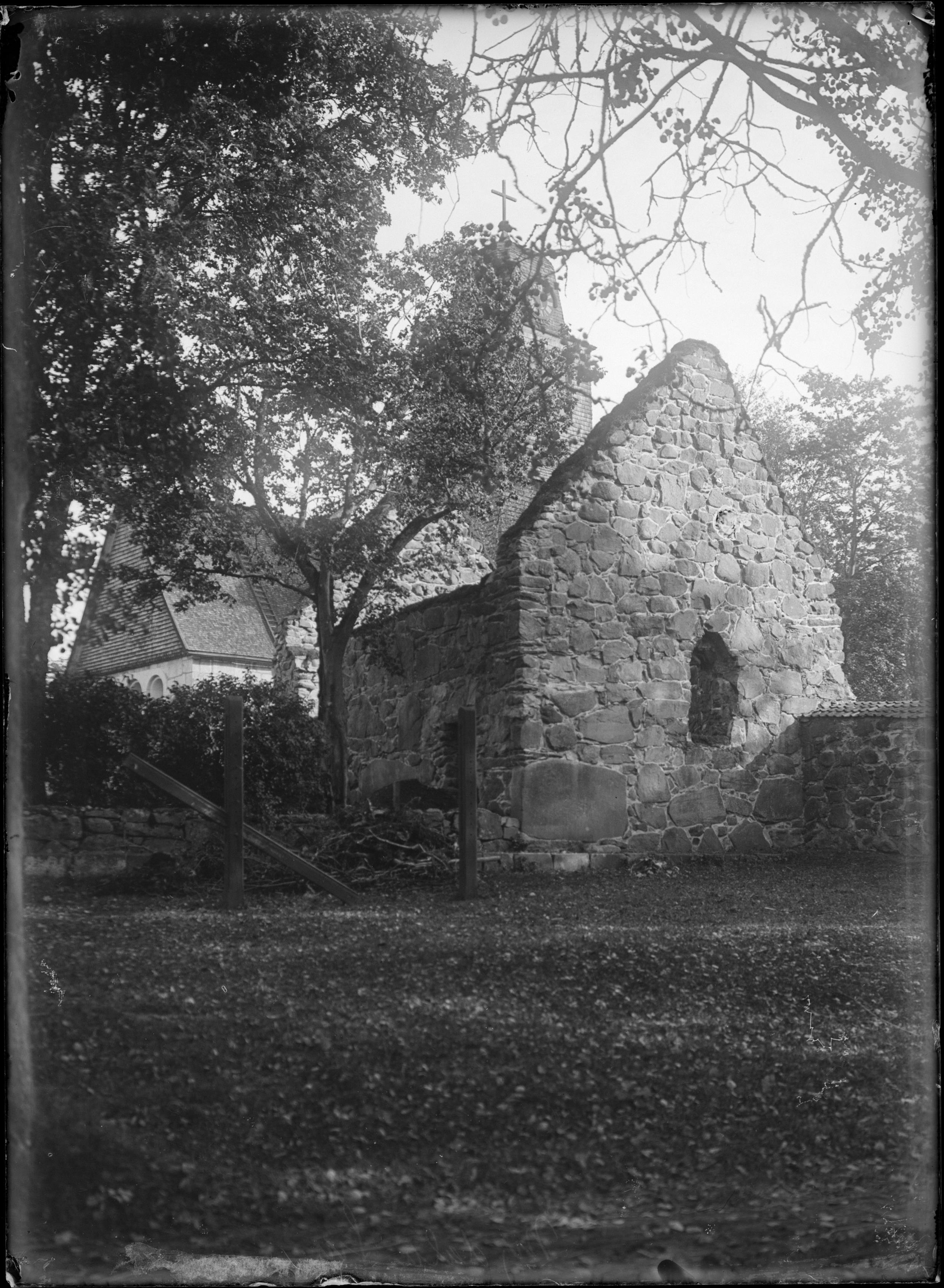 Sven Brandel, Nydala klosterruin
