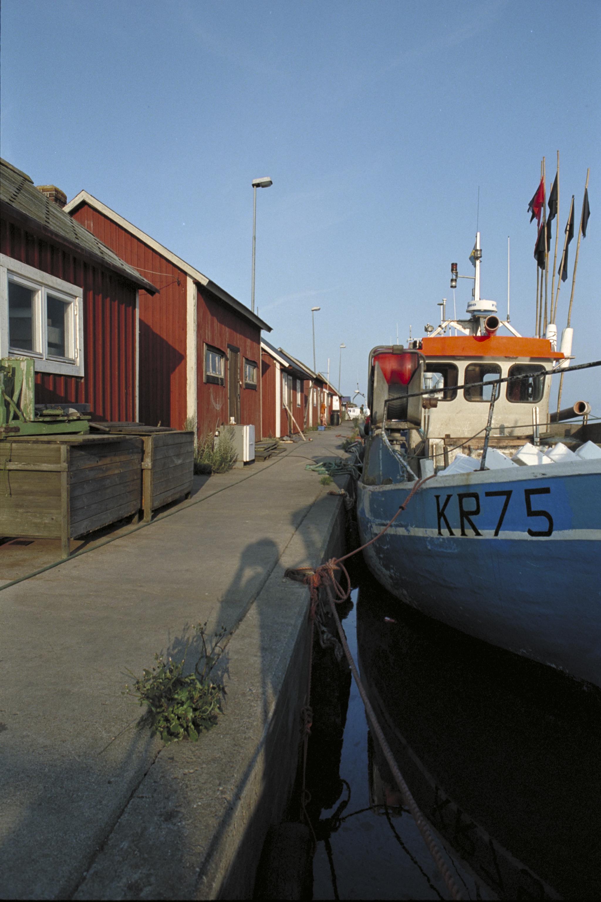 Bengt A Lundberg, Gräsgårds fiskehamn