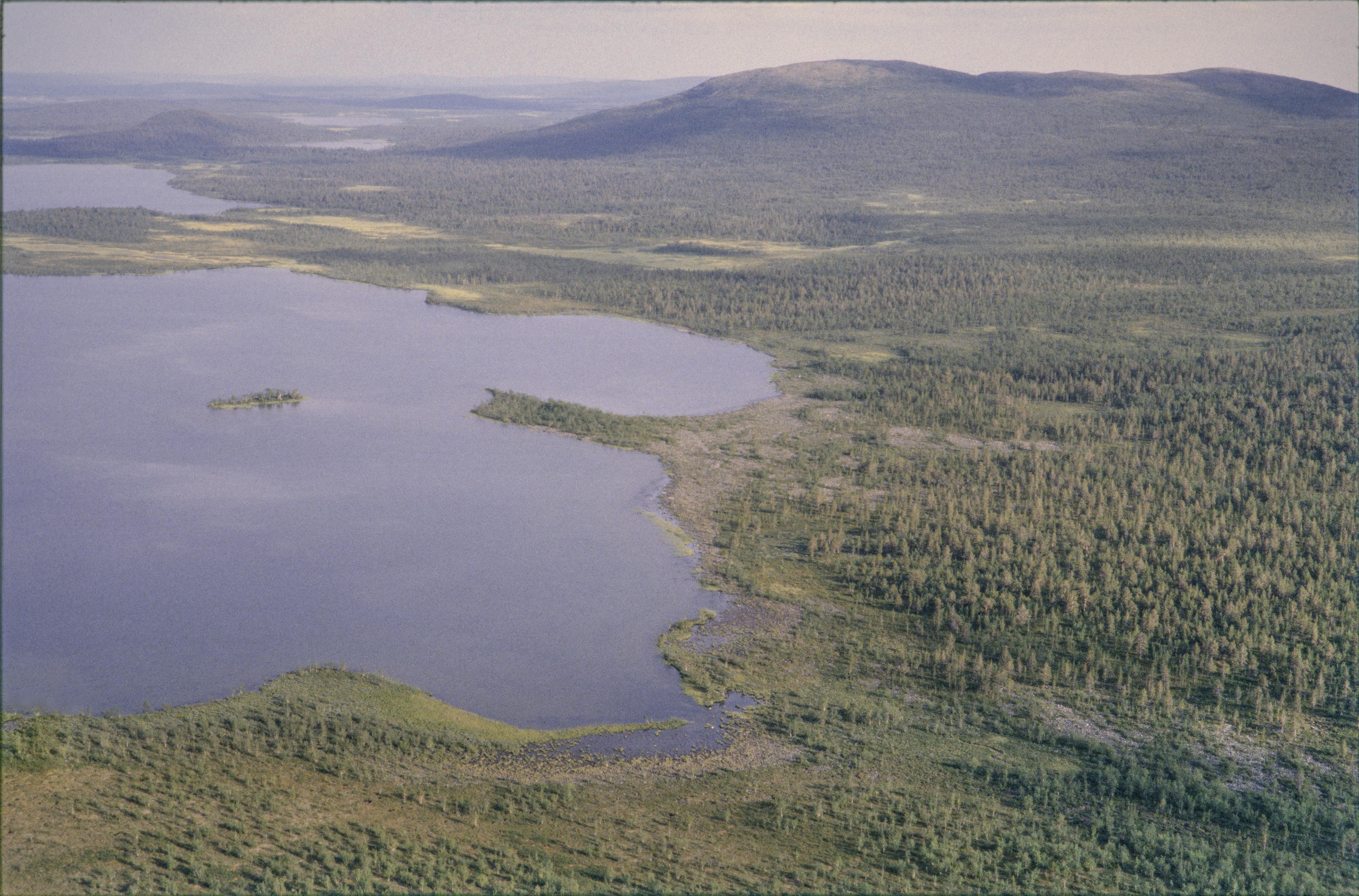 Jan Norrman, Gällivare 97:1