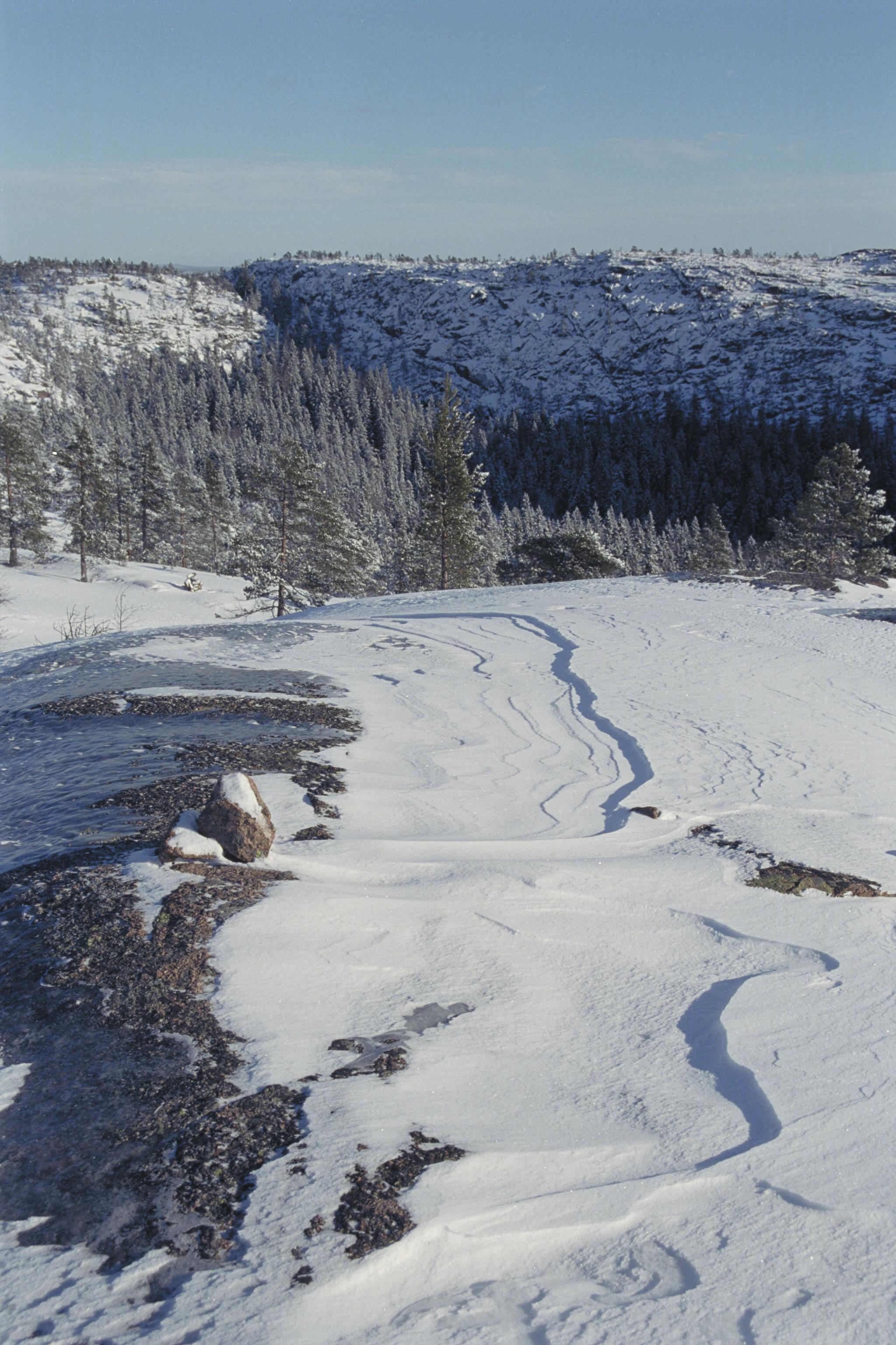 Bengt A Lundberg, Skuleskogens Nationalpark