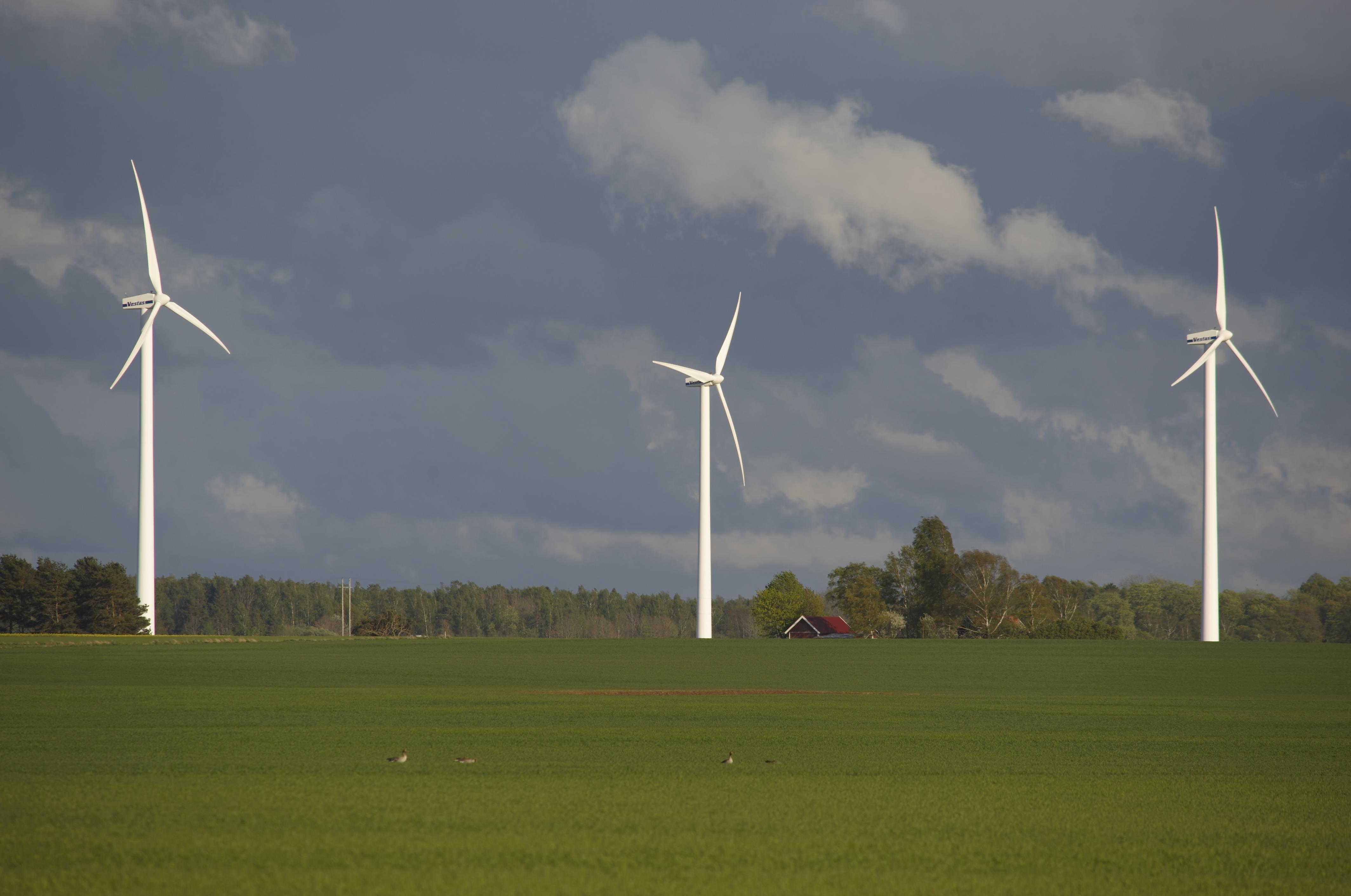 Bengt A Lundberg, Rök