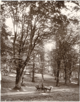 Dyrehaven nära Köpenhamn