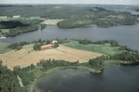 Näs i Västra Eneby