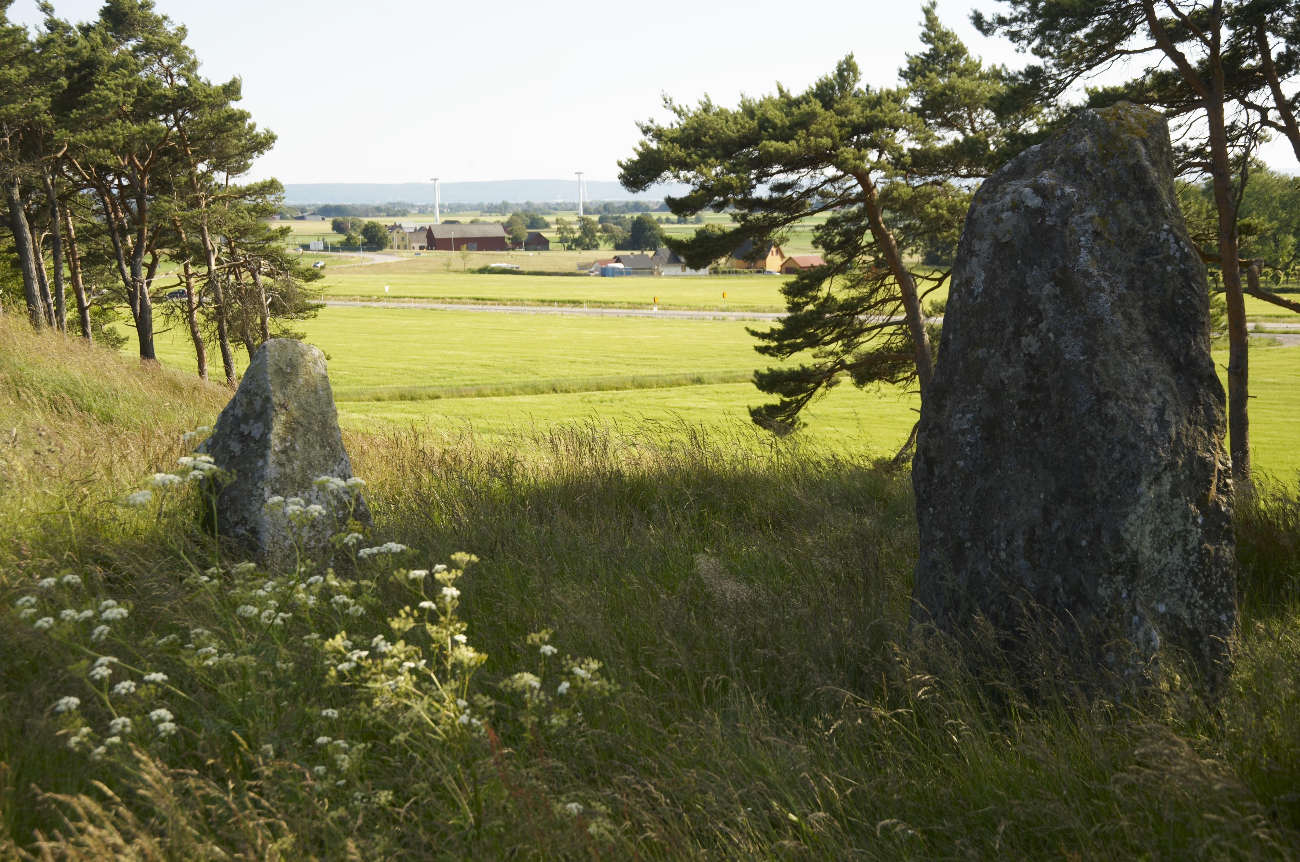 Bengt A Lundberg, Tjärby 37:1