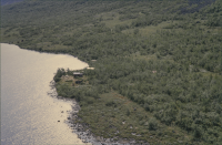 Rautasjaure - Vealebákti