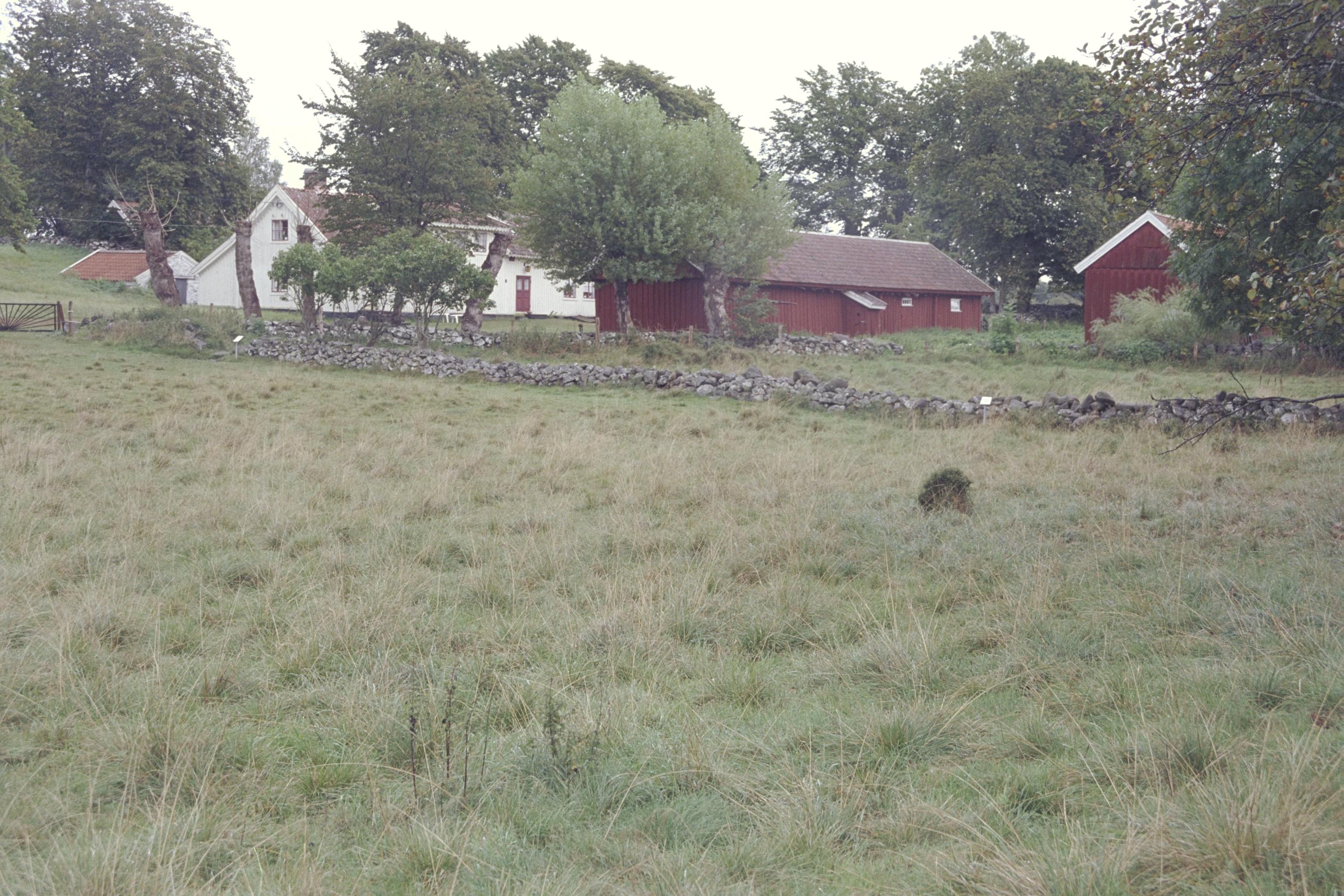 Bengt A Lundberg, Mårtagården