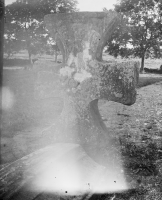 Image of Vg Fv2007;37