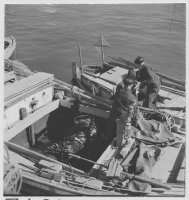 Gotländsk kalktransport