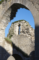 Image of Ög HedvallMenander473