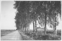 Vägen Åkerby- Gräve