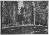 Dals-Eds socken, järnåldersgravfält