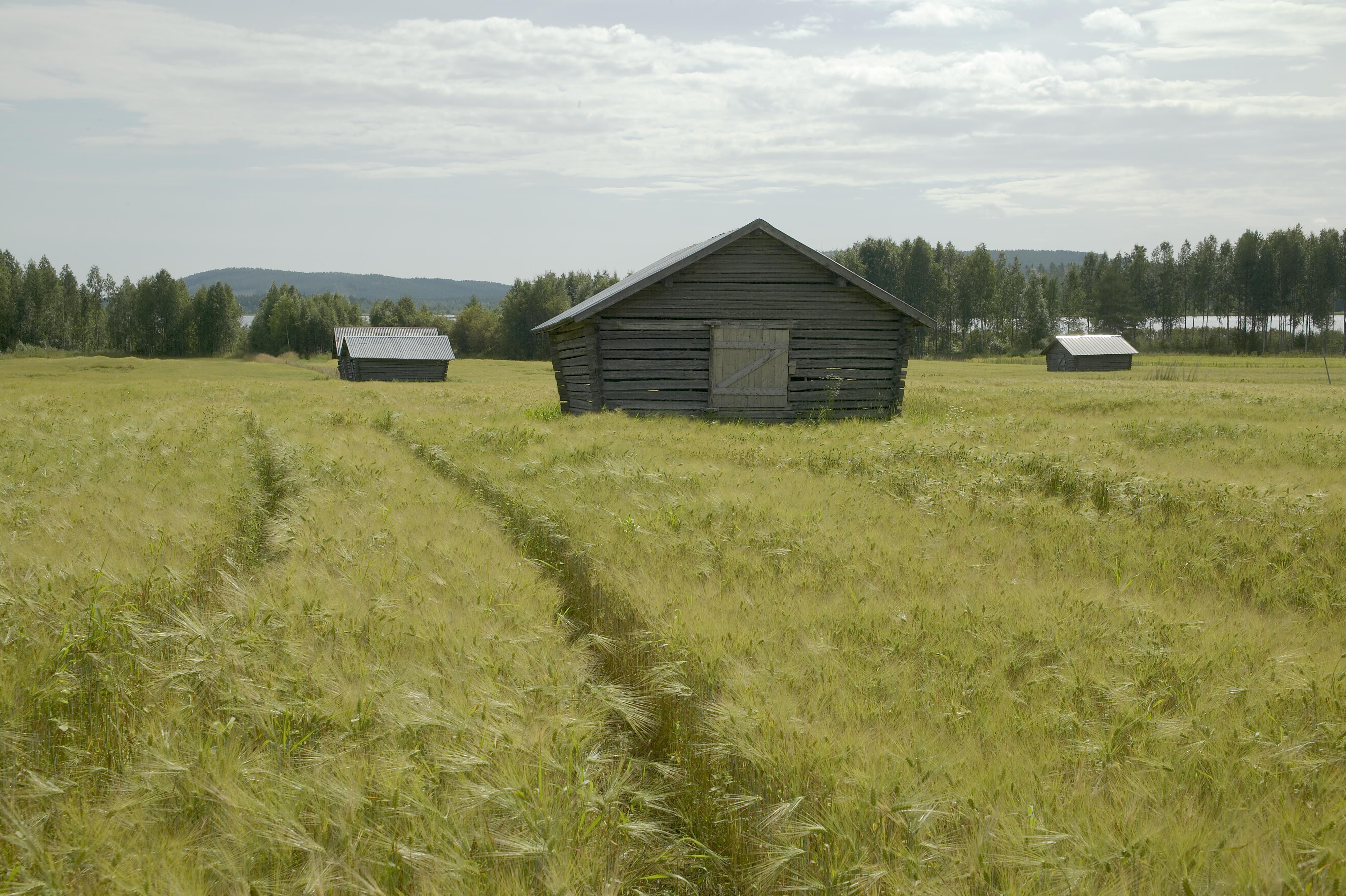 Bengt A Lundberg, Sjulnäs