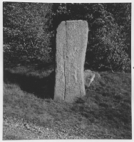 Kungshållet, runsten