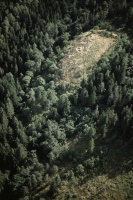 Västra Tollstad 18:1