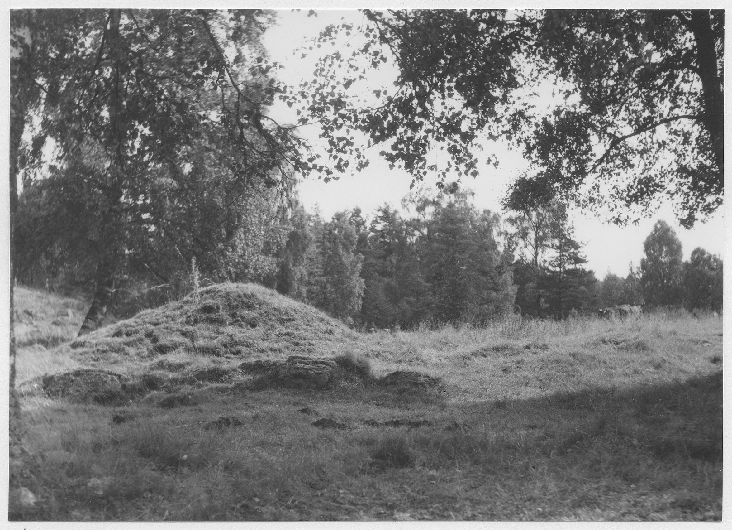 Mårten Sjöbeck, Ladugården