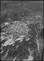 Utö, Ålö kapellruin