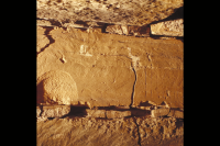 Image of Or Barnes21