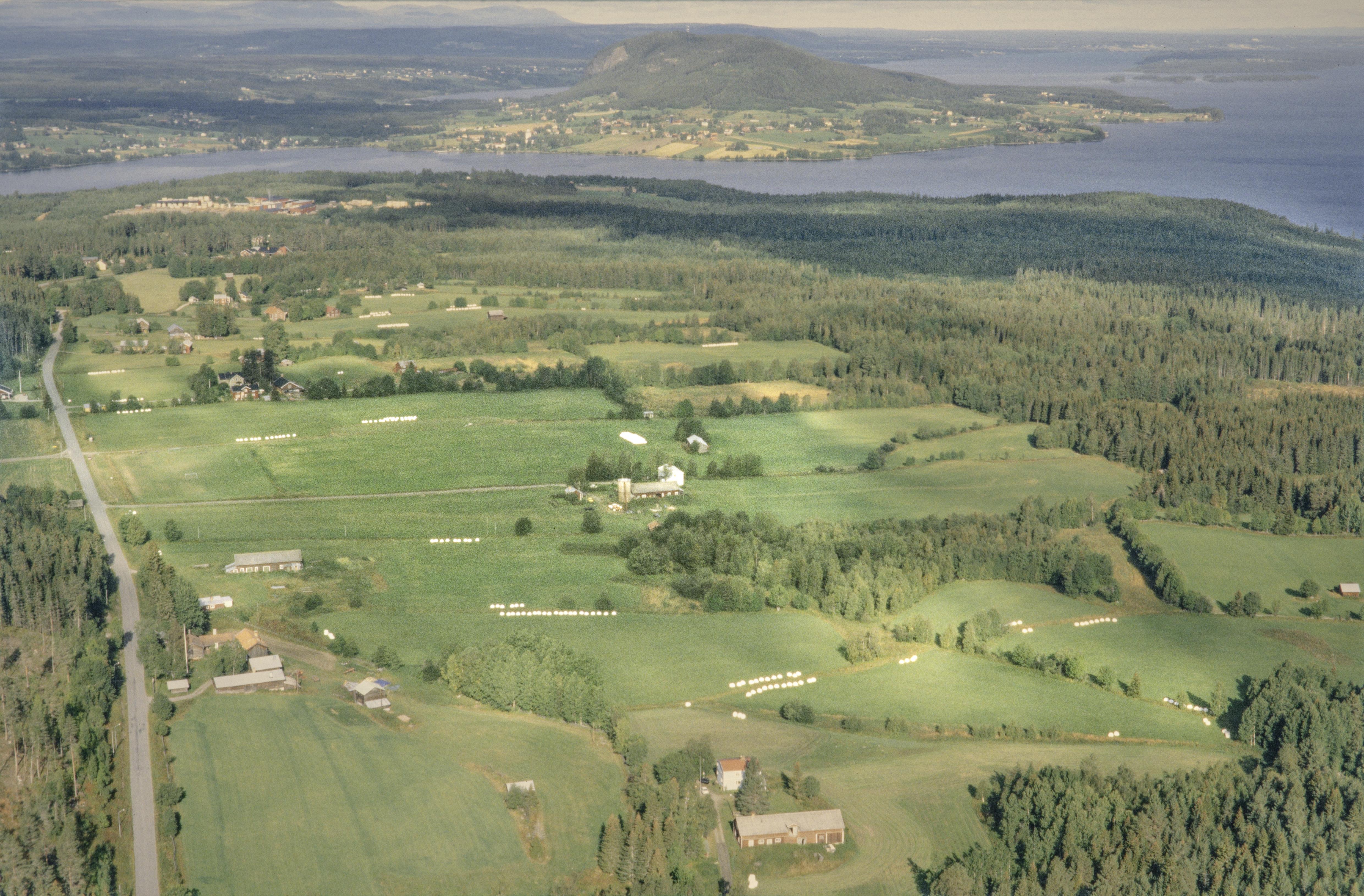 Jan Norrman, Berg 401