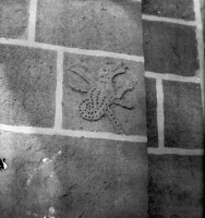 Image of DR EM85;432G