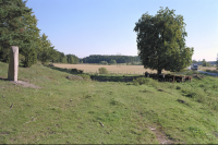 Image of Ög NOR1994;27