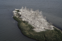 Vargrundet i Bråviken