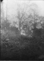 Mönsterås, Kronobäcks kyrkoruin